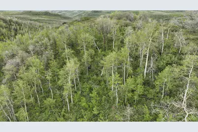 999 Hwy 39, Huntsville, UT 84317 - Photo 20