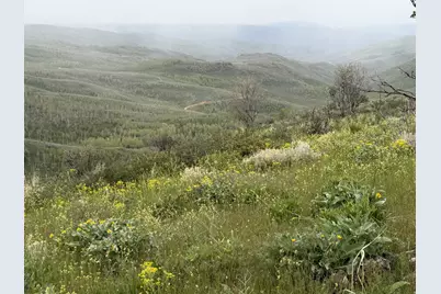 999 Hwy 39, Huntsville, UT 84317 - Photo 4