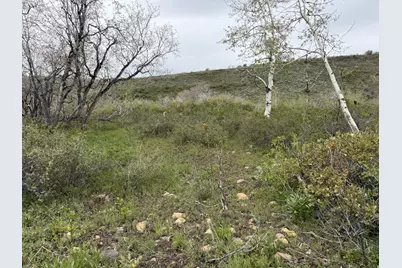 999 Hwy 39, Huntsville, UT 84317 - Photo 26