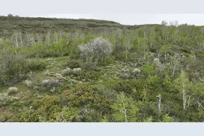999 Hwy 39, Huntsville, UT 84317 - Photo 18