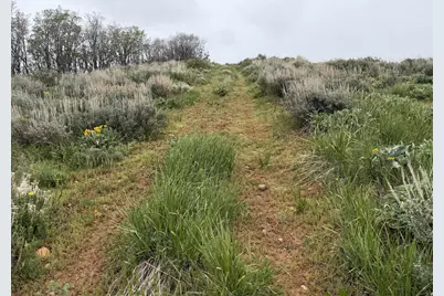 999 Hwy 39, Huntsville, UT 84317 - Photo 34