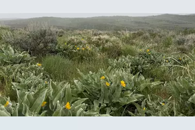 999 Hwy 39, Huntsville, UT 84317 - Photo 36