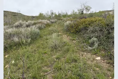999 Hwy 39, Huntsville, UT 84317 - Photo 30