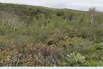 999 Hwy 39, Huntsville, UT 84317 - Photo 16