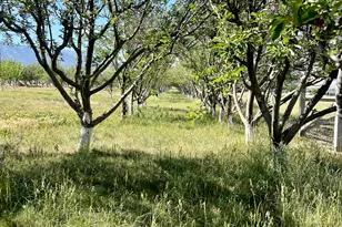 812 E Bates Rd, Erda, UT 84074 - Photo 116