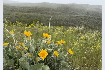 1 Hwy 39, Huntsville, UT 84317 - Photo 52