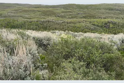1 Hwy 39, Huntsville, UT 84317 - Photo 60