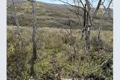1 Hwy 39, Huntsville, UT 84317 - Photo 40