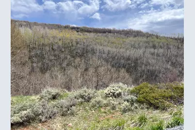 1 Hwy 39, Huntsville, UT 84317 - Photo 10