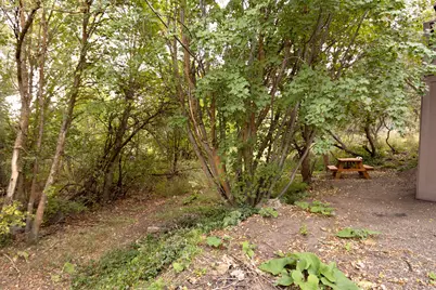 2562 N Viking Dr E, Eden, UT 84310 - Photo 4