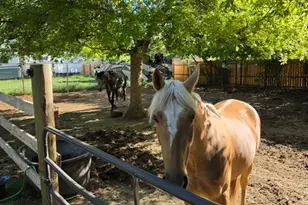 4995 S 3100 W, Roy, UT 84067 - Photo 10