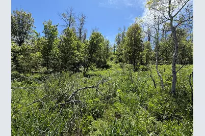 [Address not provided], Coalville, UT 84017 - Photo 12