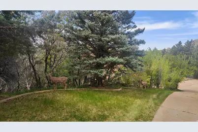 6169 S 2850 E, Uintah, UT 84403 - Photo 12