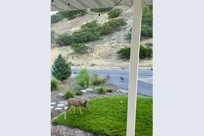 387 N Loafer Canyon Road Rd E, Elk Ridge, UT 84651 - Photo 94