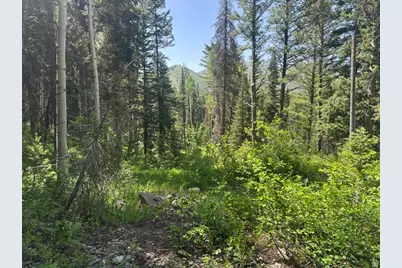 9328 E Wild Clematis Ln, Brighton, UT 84121 - Photo 2