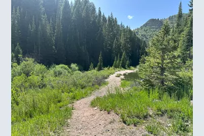 9328 E Wild Clematis Ln, Brighton, UT 84121 - Photo 6