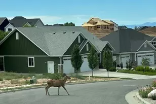 1232 E Amaryllis Wy, Layton, UT 84040 - Photo 12