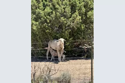 10 E Hollow Rd #10, Spring City, UT 84662 - Photo 8