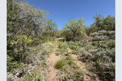 [Address not provided], Huntsville, UT 84317 - Photo 18