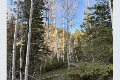 [Address not provided], Alton, UT 84710 - Photo 4
