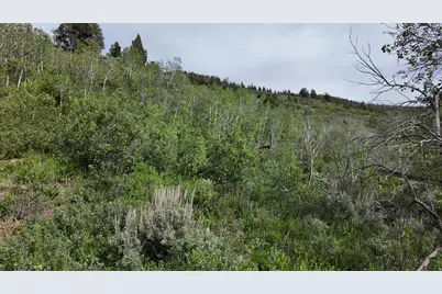 4060 Wildlife Way #443, Kamas, UT 84036 - Photo 2
