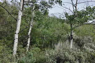 4060 Wildlife Way, Kamas, UT 84036 - Photo 1