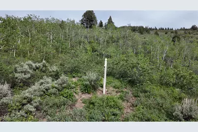 4060 Wildlife Way #443, Kamas, UT 84036 - Photo 10