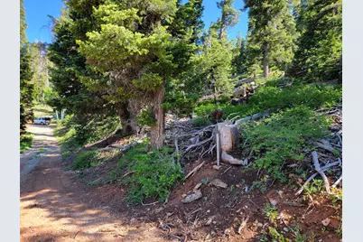 6220 W Brook Ln, Duck Creek Village, UT 84762 - Photo 22