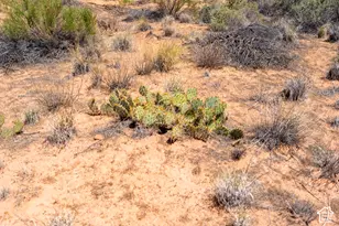 11021 S Hwy 191, Moab, UT 84532 - Photo 20
