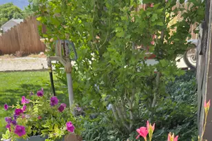 157 N 200 E, Richfield, UT 84701 - Photo 20