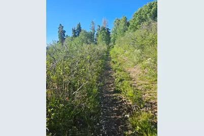 23165 N Hillside Dr #G23, Fairview, UT 84629 - Photo 10