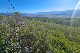 23165 N Hillside Dr, Fairview, UT 84629 - Photo 8