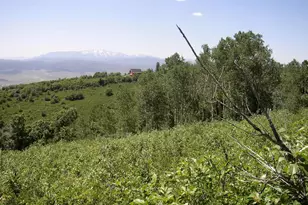 23165 N Hillside Dr, Fairview, UT 84629 - Photo 14