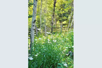 7536 N Pinebrook Rd, Park City, UT 84098 - Photo 38