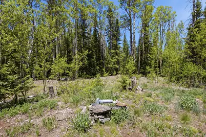 615 E Old Rd, Brian Head, UT 84719 - Photo 16