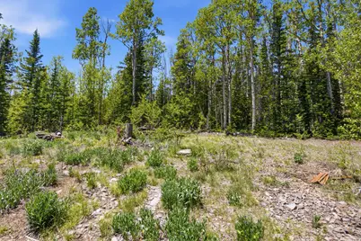 615 E Old Rd, Brian Head, UT 84719 - Photo 6