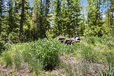 615 E Old Rd, Brian Head, UT 84719 - Photo 8