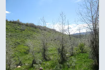 3258 N Water Canyon Ave #679, Huntsville, UT 84317 - Photo 4