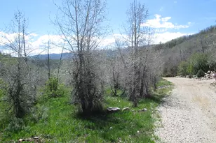 3258 N Water Cyn Ave, Huntsville, UT 84317 - Photo 1