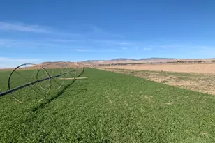9205 S Avery Lynn Cir W, Centerfield, UT 84622 - Photo 4