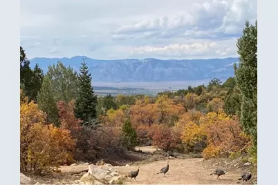 [Address not provided], Mount Pleasant, UT 84647 - Photo 1