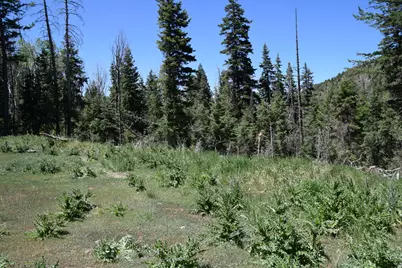 [Address not provided], Mount Pleasant, UT 84647 - Photo 14