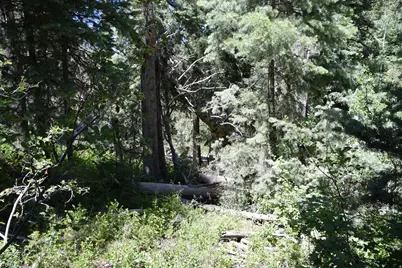 [Address not provided], Mount Pleasant, UT 84647 - Photo 28