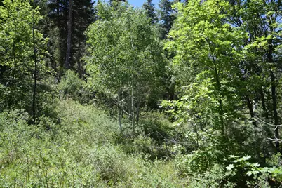[Address not provided], Mount Pleasant, UT 84647 - Photo 24