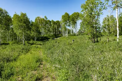 796 W Shady Ln, Wanship, UT 84017 - Photo 4