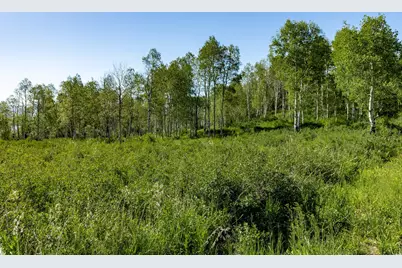 796 W Shady Ln, Wanship, UT 84017 - Photo 8