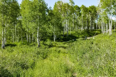 796 W Shady Ln, Wanship, UT 84017 - Photo 6