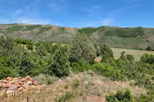2924 N Water Cyn Ave, Huntsville, UT 84317 - Photo 32