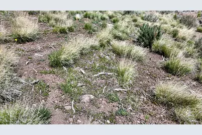 123 W Tbd Willow Spring Rd, Goshen, UT 84633 - Photo 28
