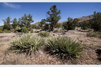 4 La Sal Pass Spur, Moab, UT 84532 - Photo 4